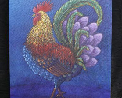 Por mis plumas conozco a mi gallo